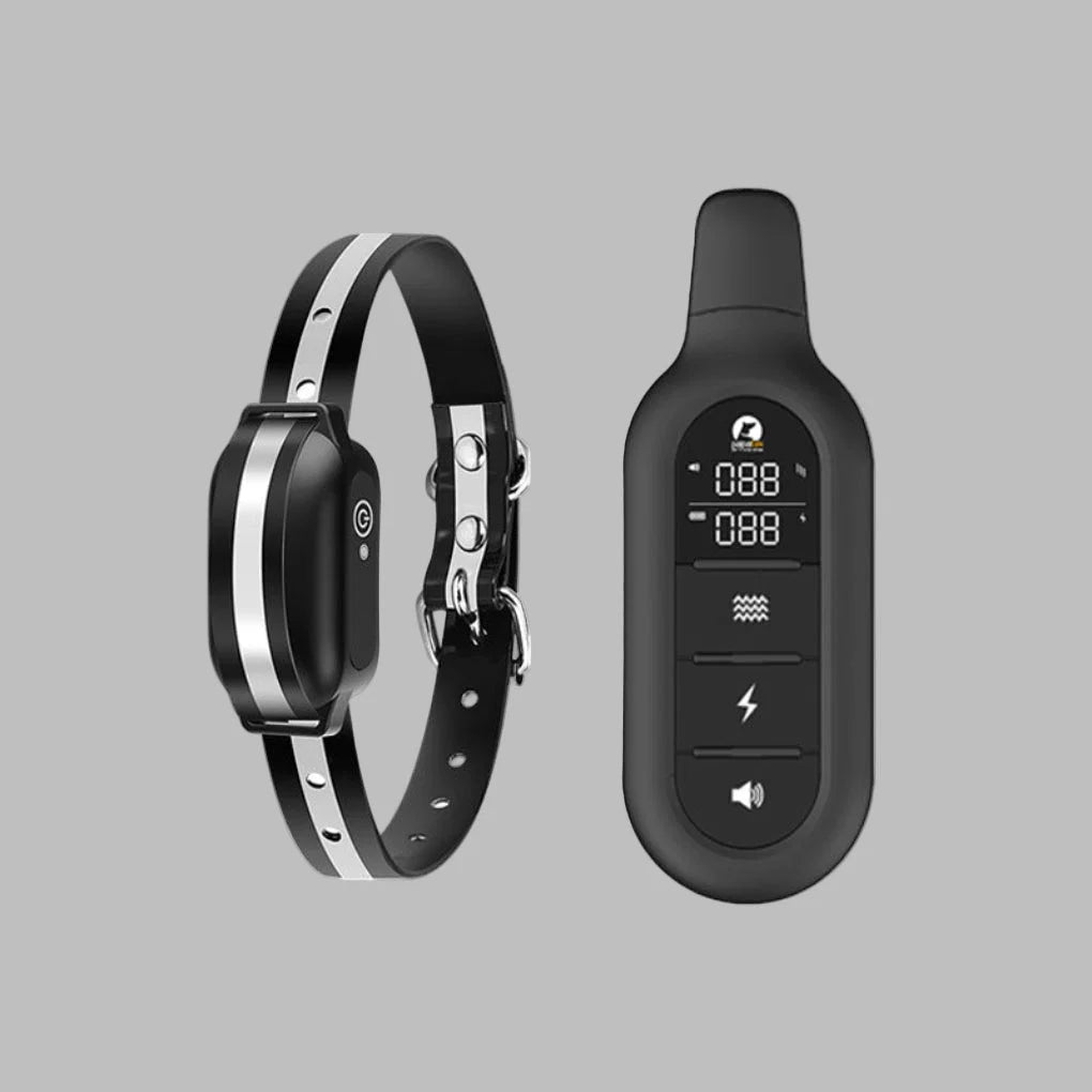 Dog training collar with remote control showing adjustable black strap and handheld digital remote unit