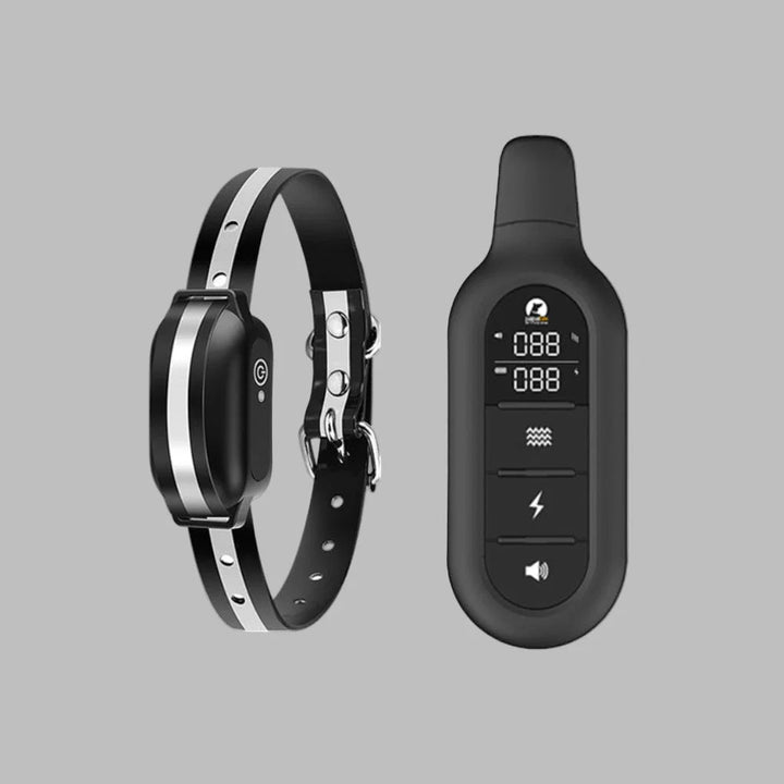 Dog training collar with remote control showing adjustable black strap and handheld digital remote unit