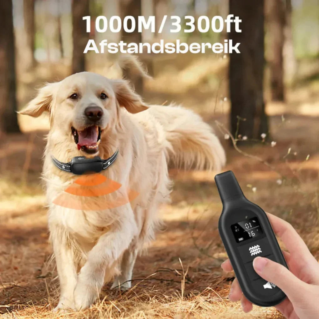 Close-up view of remote dog training collar system with digital display and control buttons