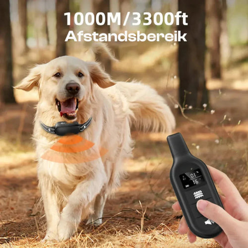 Close-up view of remote dog training collar system with digital display and control buttons