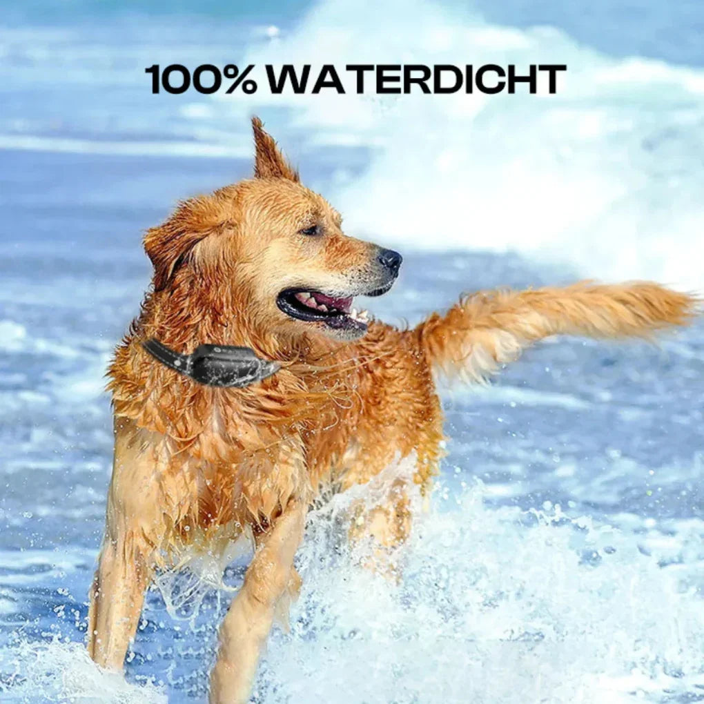 Waterproof dog training collar receiver and remote control unit for outdoor behavioural training