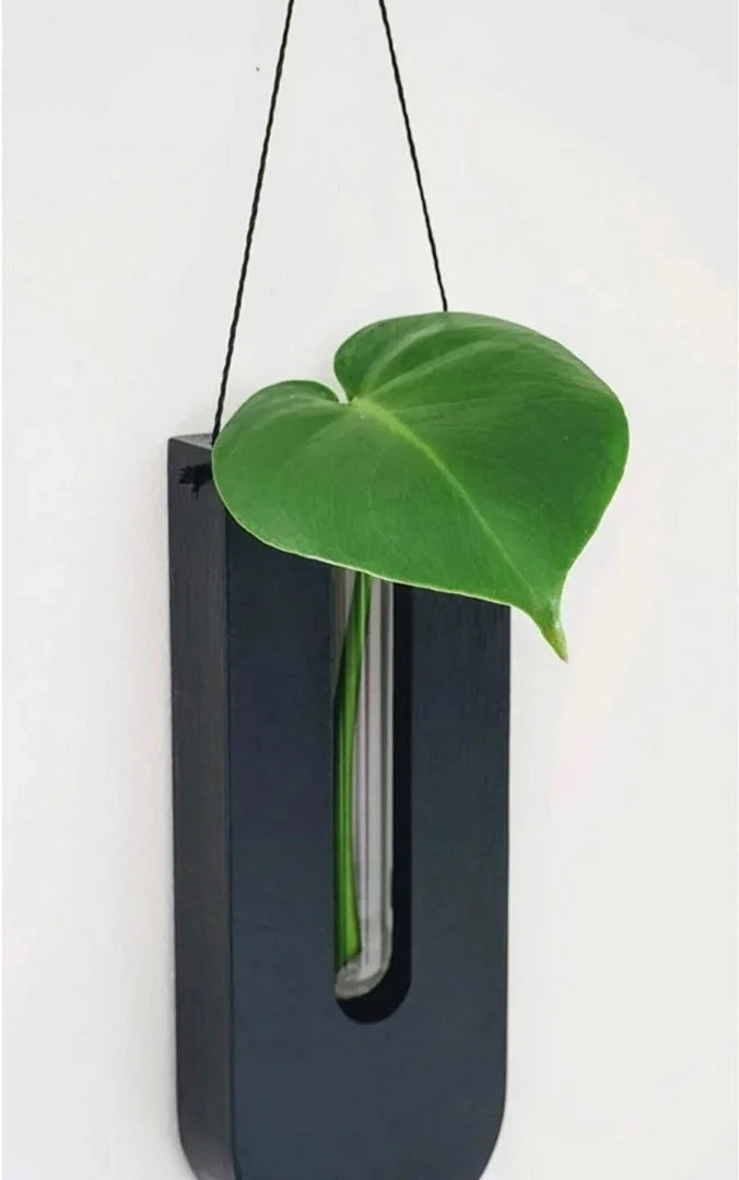 Close-up of wooden wall planter holders showing rounded U-shaped design with central stem slots in light and dark finishes