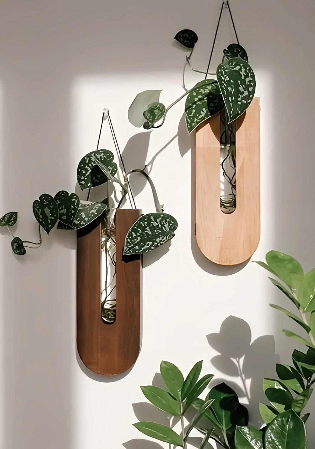 Wall planter set in natural pine, walnut, and charcoal finishes with dried eucalyptus and decorative grasses