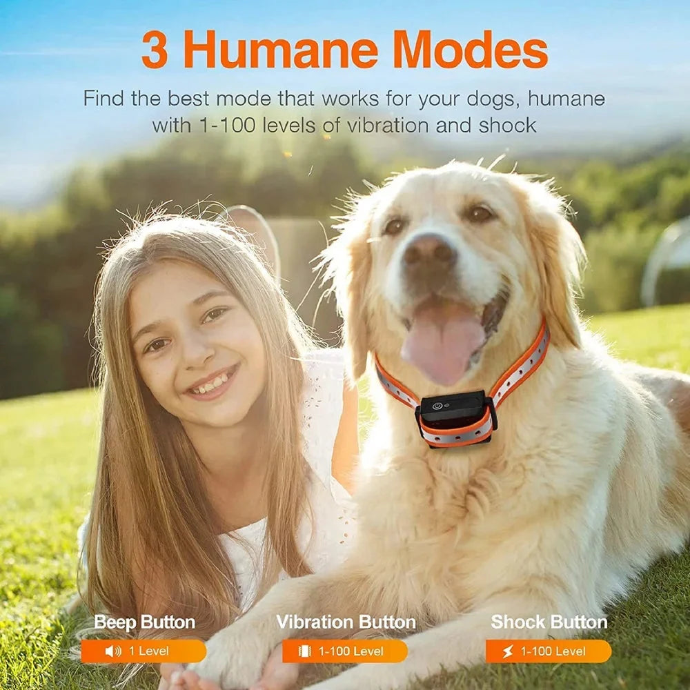 Dog training collar components showing remote transmitter and collar receiver with digital interface