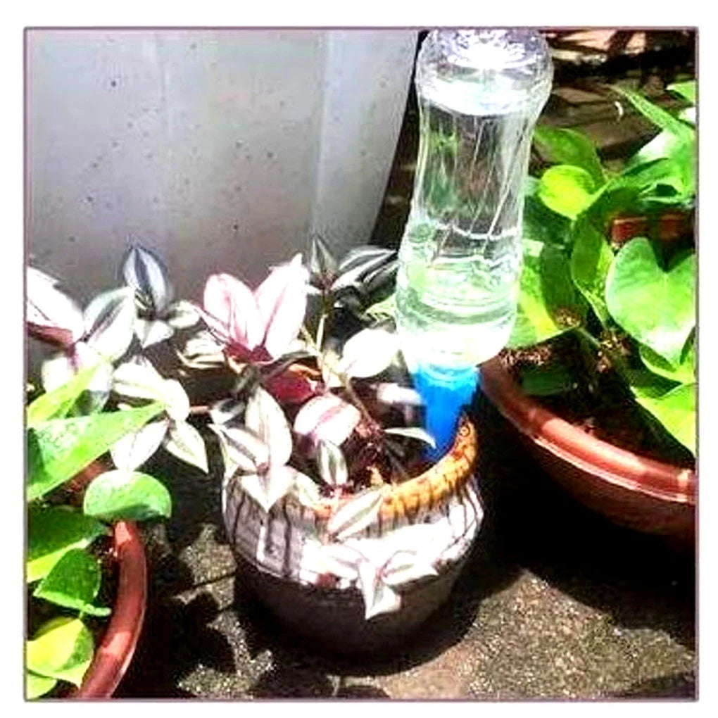 Blue automatic watering spike with grey adjustable valve for steady plant hydration system