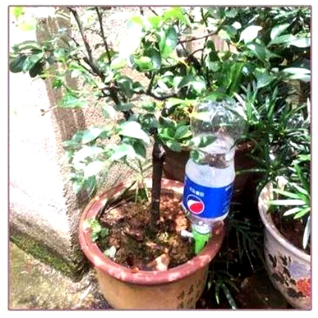 Close-up of adjustable valve mechanism on automatic plant watering spike for flow control