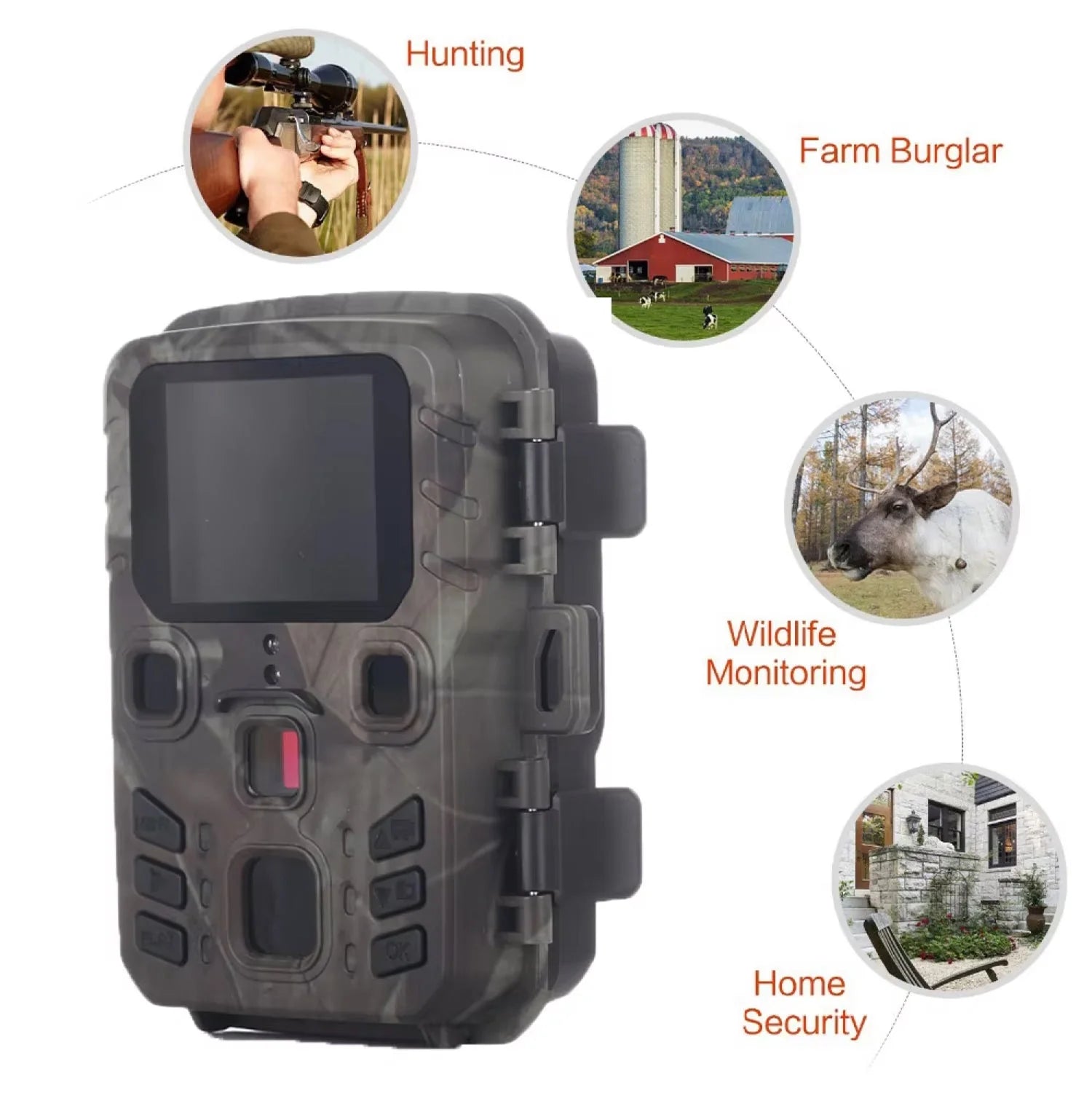 Garden wildlife camera with motion-activated recording and real-time WiFi alerts for nature enthusiasts