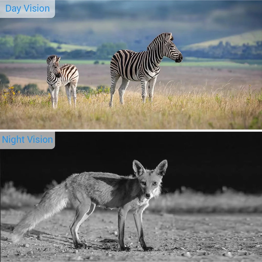 Compact wildlife monitoring camera featuring weatherproof design and 20MP photo capture technology