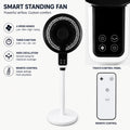 Standing fan with remote control featuring touch panel, four speed modes, timer function, and wide oscillation for home use