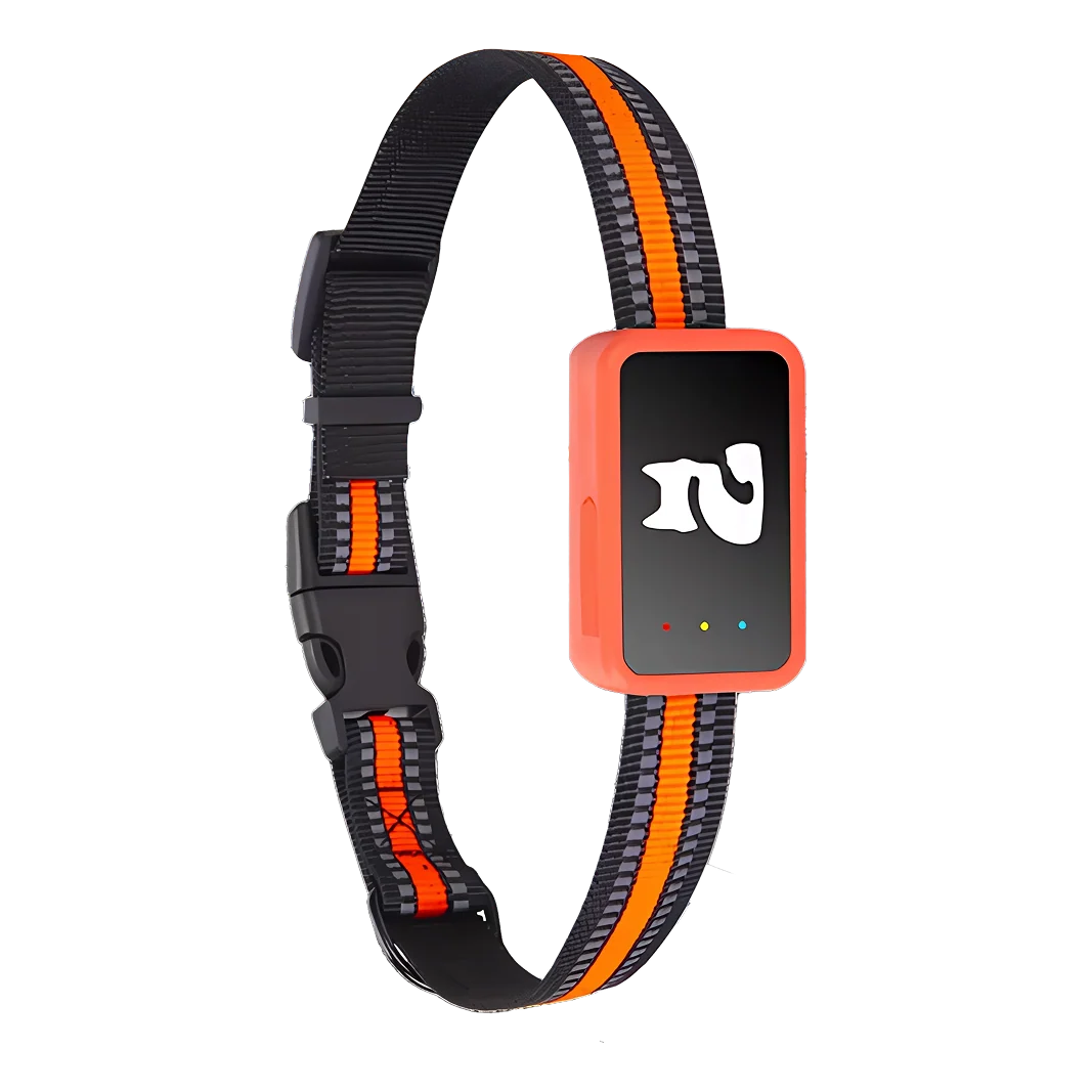 GPS pet tracker collar with orange striped nylon strap and electronic tracking device on black background
