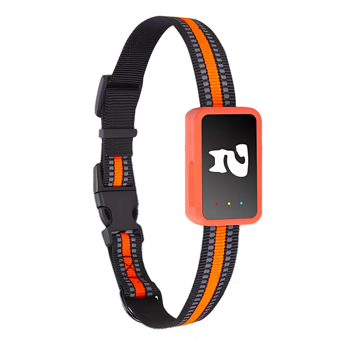 GPS pet tracker collar with orange striped nylon strap and electronic tracking device on black background
