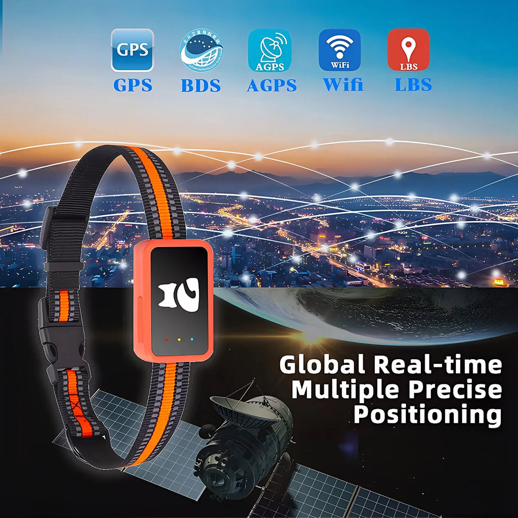 Reggie | GPS Pet Tracker Collar