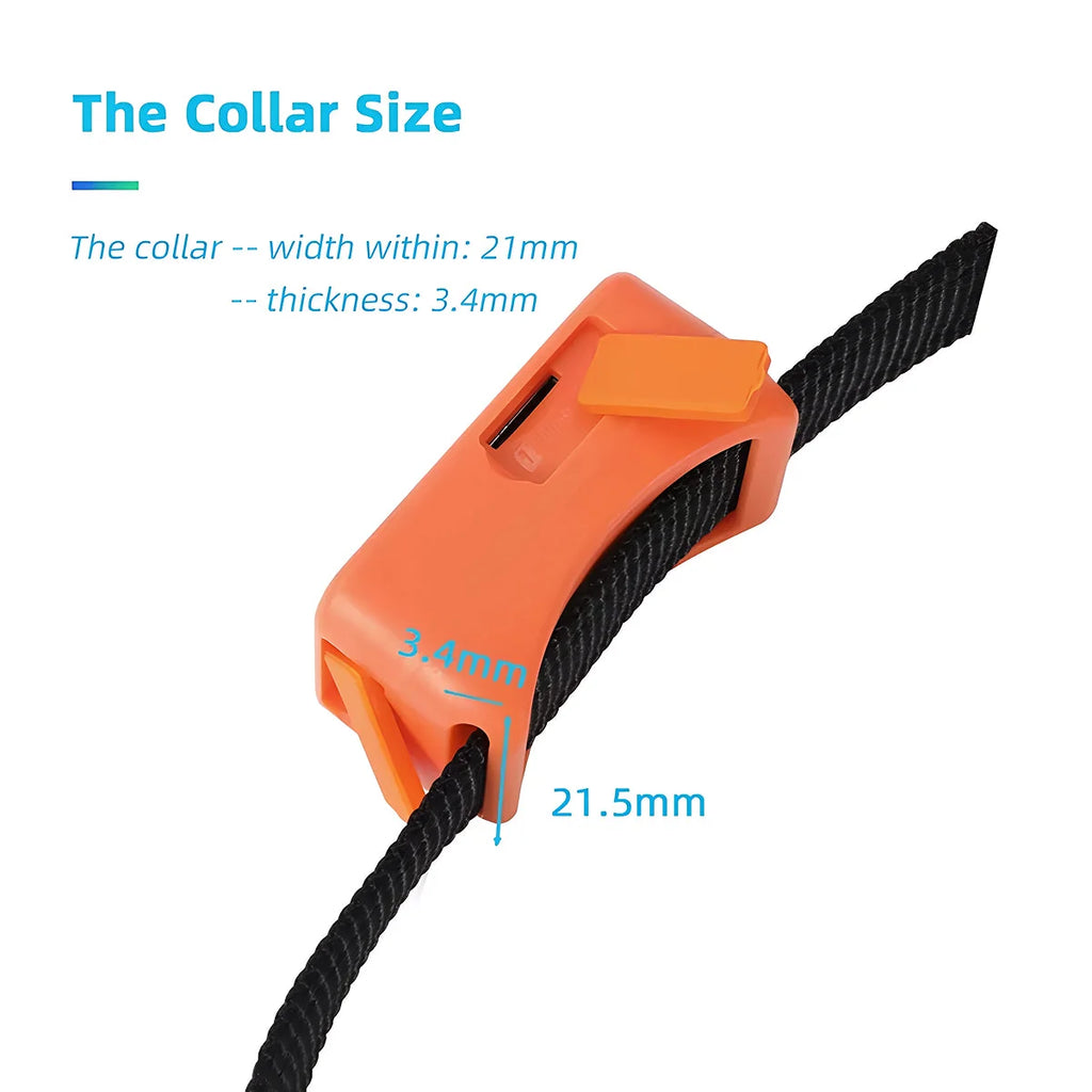 Reggie | GPS Pet Tracker Collar