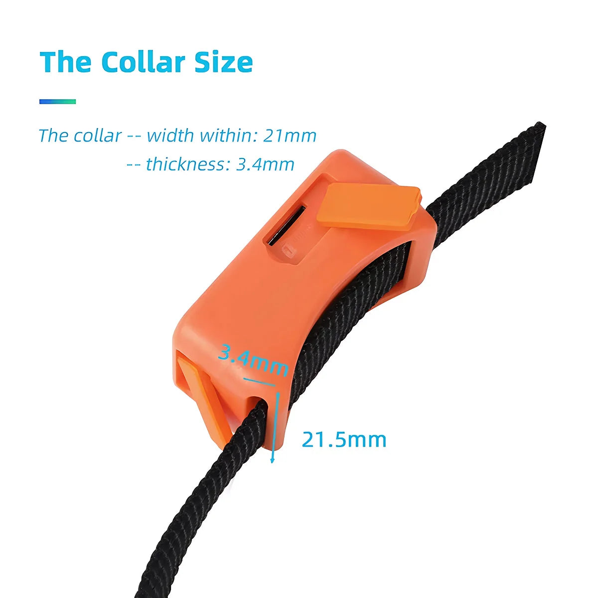 Reggie | GPS Pet Tracker Collar