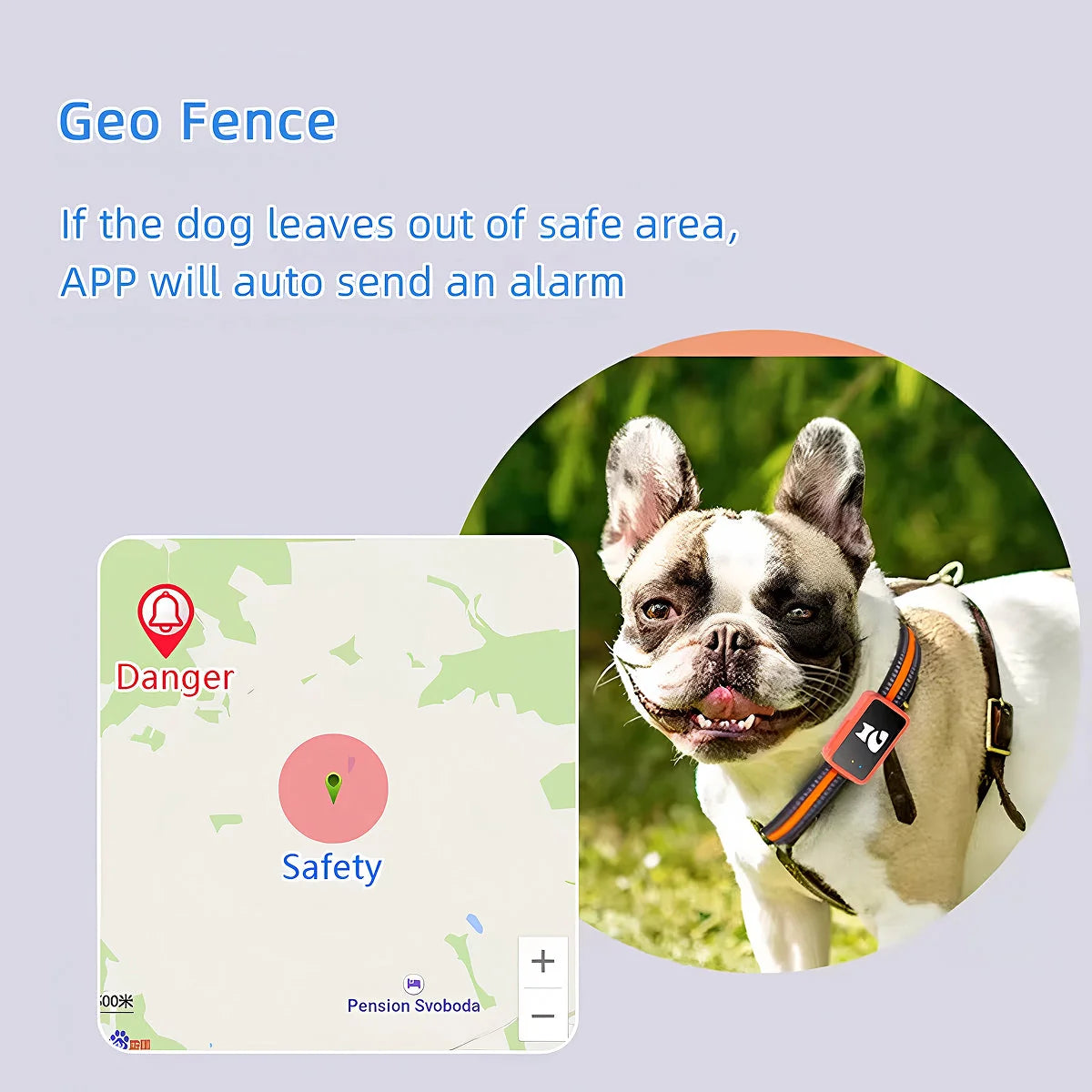 Reggie | GPS Pet Tracker Collar