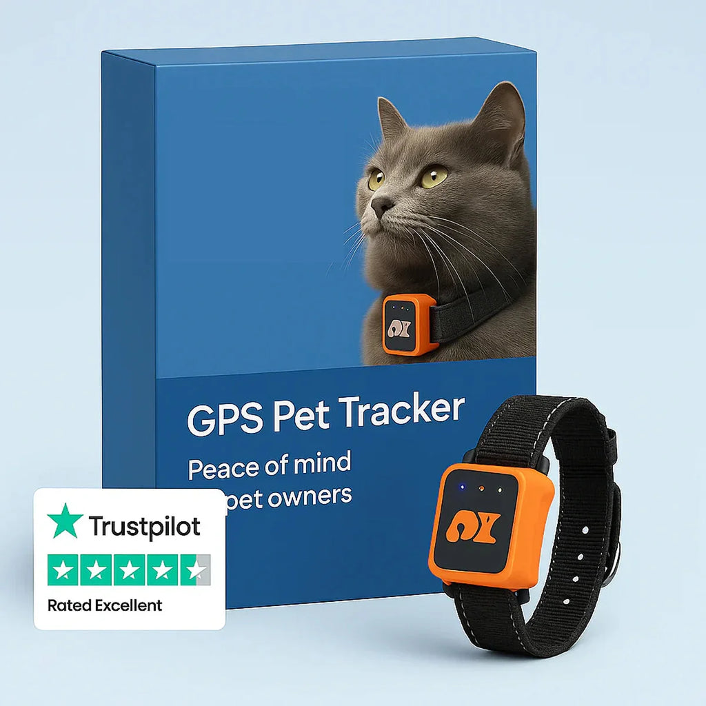 Reggie | GPS Pet Tracker Collar