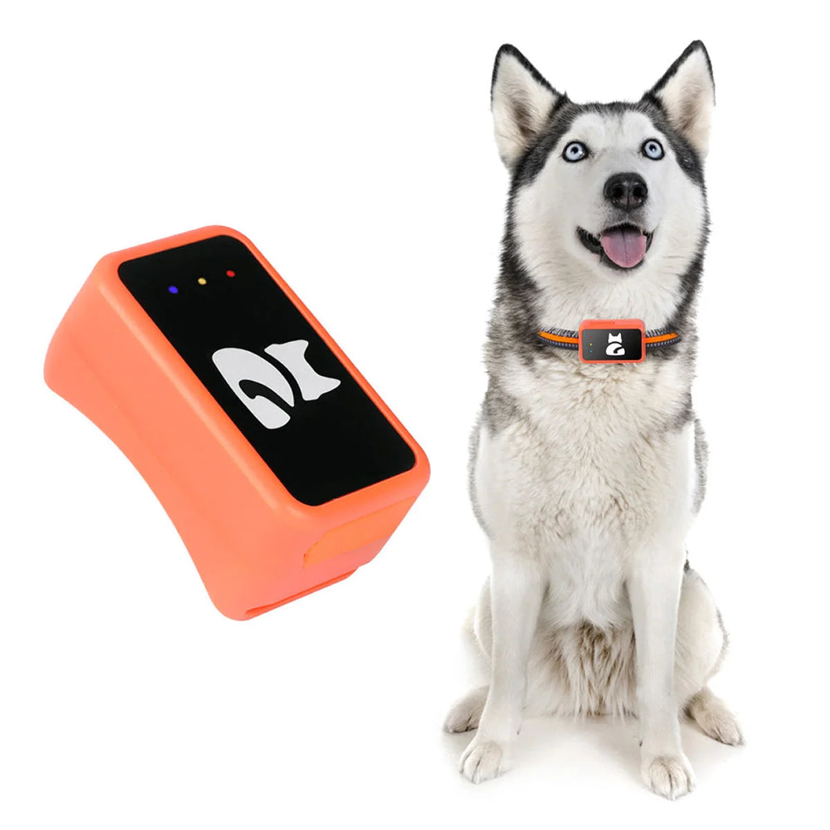 Reggie | GPS Pet Tracker Collar
