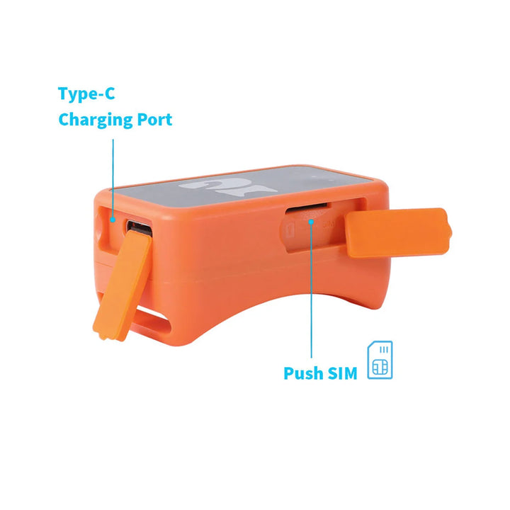 Reggie | GPS Pet Tracker Collar