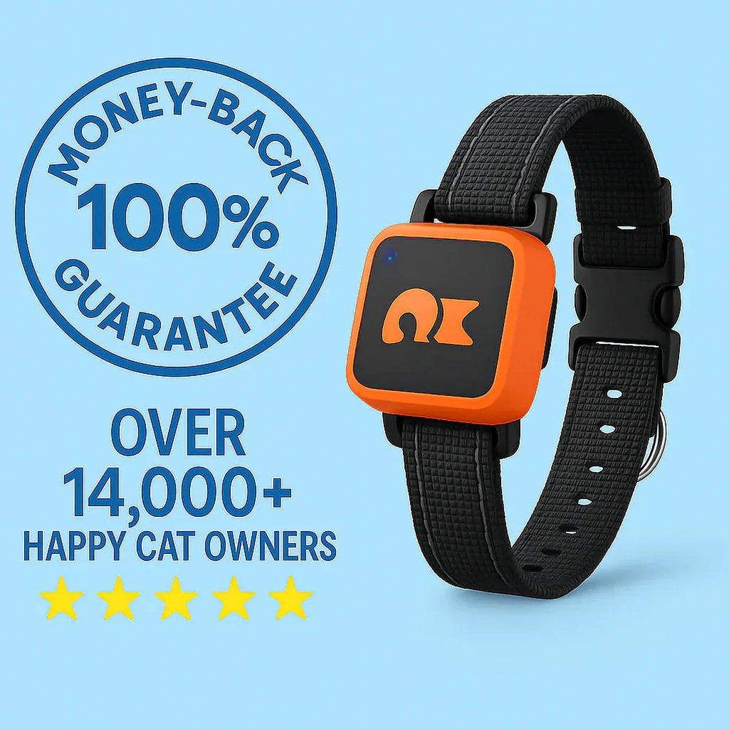 Reggie | GPS Pet Tracker Collar