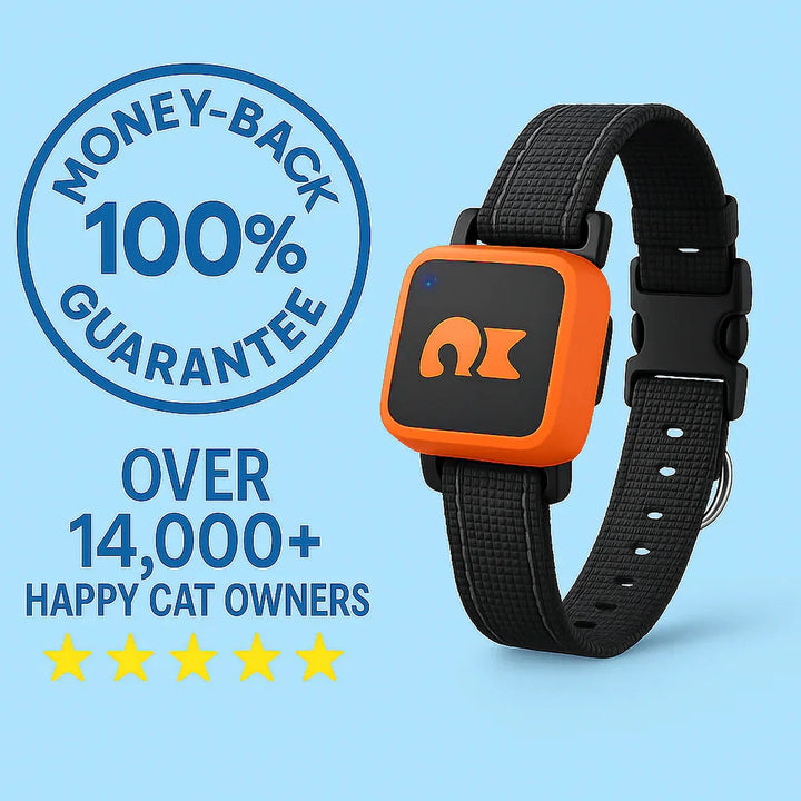 Reggie | GPS Pet Tracker Collar