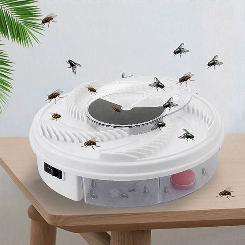 Close-up view of circular fly trap showing ridged channels and central collection compartment design
